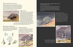 David Bellamy's Landscapes through the Seasons in Watercolour - Image 5