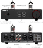 AIYIMA T20 premium hifi preamplifier back panel displaying the balanced XLR and RCA input output ports.