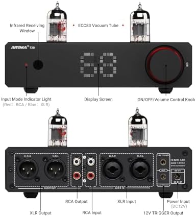 AIYIMA T20 premium hifi preamplifier back panel displaying the balanced XLR and RCA input output ports.