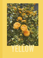 Yellow: Captured in Yellow: A Photographic Exploration (The Color Studies) - Image 2