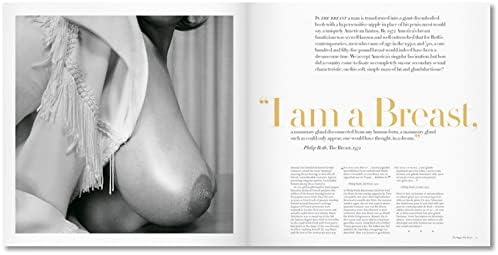 The Big Book of Breasts (Multilingual Edition) - Image 7