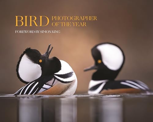 Bird Photographer of the Year: Collection 9 - Image 2