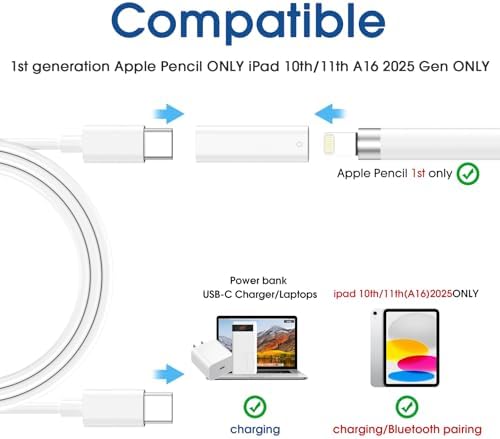 TechMatte Lightning to USB-C connector with included cable tether attachment.