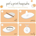 Step by step DIY pet paw print impression kit instructions and contents layout