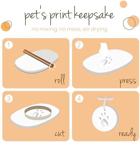 Step by step DIY pet paw print impression kit instructions and contents layout