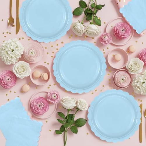 NatNarr baby shower paper tableware light blue theme