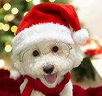Play Bling clear lens fake glasses for adult women and men.