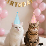 Apausvcm 6Pcs Birthday Hats for Dog Cat worn by small pet