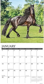 Horse Feathers 2023 Wall Calendar - Image 4