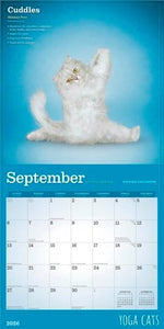 Yoga Cats OFFICIAL | 2026 12 x 24 Inch (Hanging) Monthly Square Wall Calendar | Plastic-Free | BrownTrout | Animals Humor Pets - Image 5
