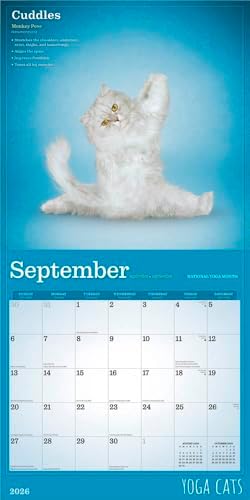 Yoga Cats OFFICIAL | 2026 12 x 24 Inch (Hanging) Monthly Square Wall Calendar | Plastic-Free | BrownTrout | Animals Humor Pets - Image 5