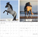 2026 Horses Wall Calendar - Image 7