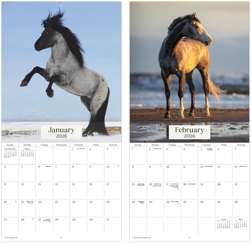 2026 Horses Wall Calendar - Image 7