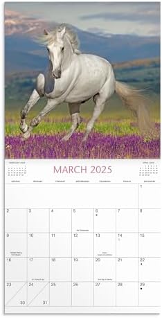 Horses 2025 Wall Calendar - Image 4