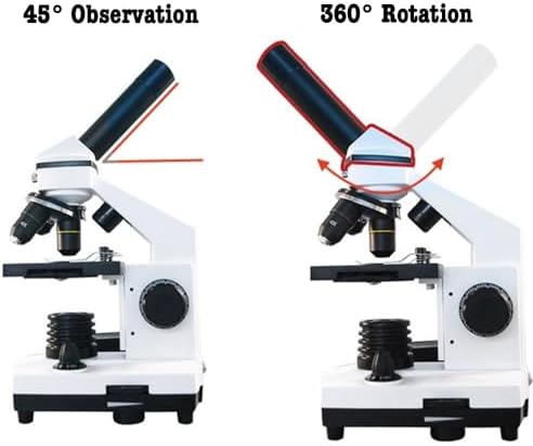 User observing specimen through monocular microscope