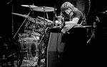 Led Zeppelin Live: 1975-1977 - Image 8