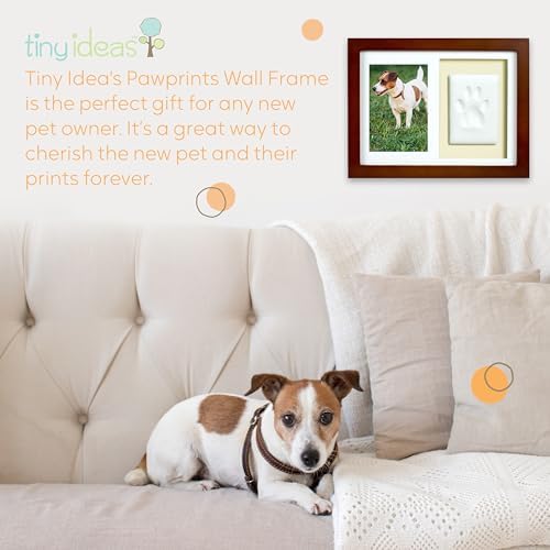 Wall mounted pet keepsake frame showcasing personalized cat paw print craft