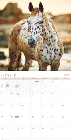 2025 Horses Mini Wall Calendar - Image 3