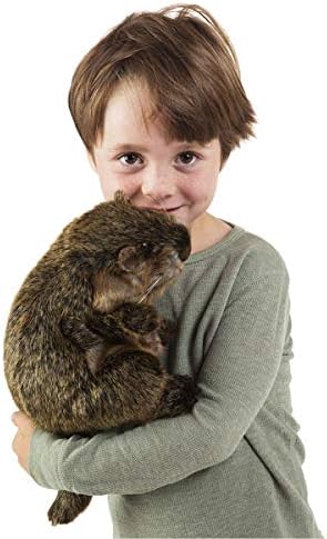 Folkmanis woodchuck interactive toy demonstrating the movable mouth mechanics