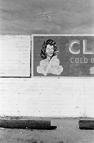 Lee Friedlander: Signs - Image 4
