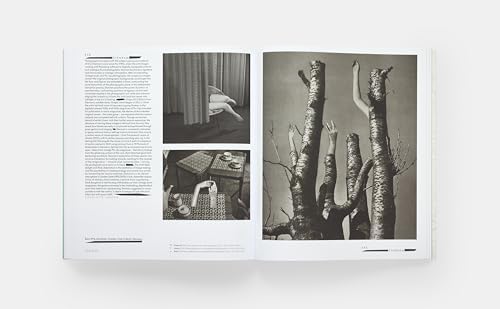 Vitamin C+: Collage in Contemporary Art - Image 8