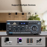 Compact home stereo audio receiver with remote control and dual microphone inputs