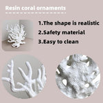 SwandTanpand white coral decor serving as an aquarium cave hideout for small betta fish inside a ten-gallon tank.
