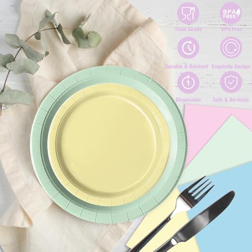 Close Up Of Oigco Rainbow Pastel Party Tableware