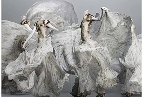 Alexander McQueen: Savage Beauty - Image 3