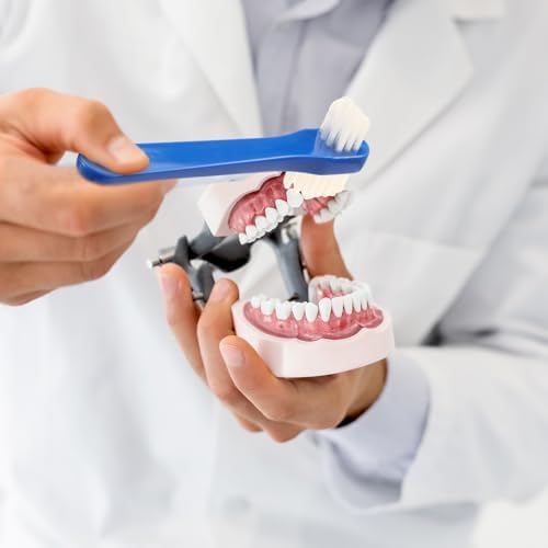 Large flat bristle side of the Qinyoung manual denture cleaner brush designed for smooth acrylic surfaces