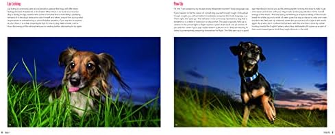 Dogtography: A Knock-Your-Socks-Off Guide to Capturing the Best Dog Photos on Earth - Image 3