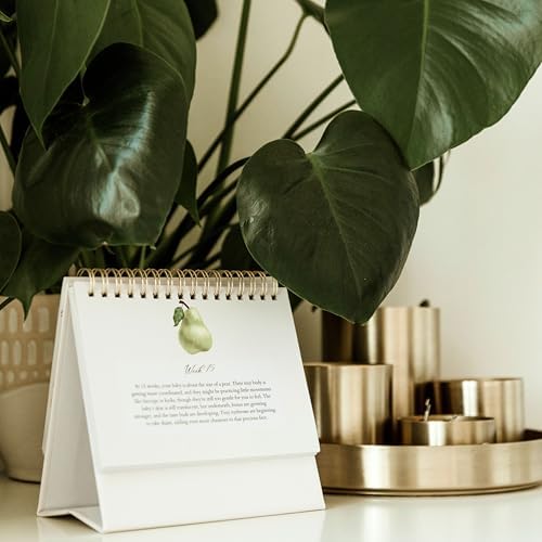 Side angle view of the durable twin-wire binding on the Mulberry Lane Co. faith-filled calendar.