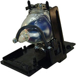 Arkray television replacement module assembly for rear projection displays.