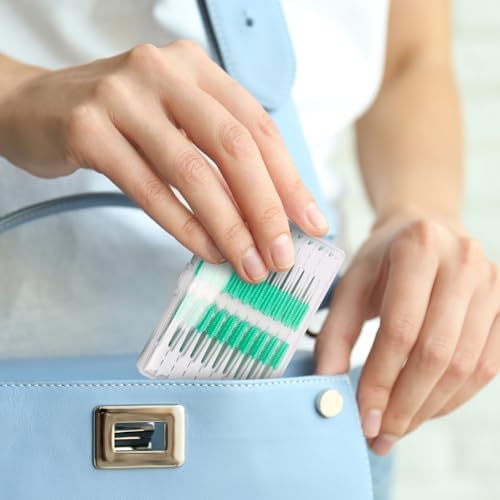 Full packaging view of the ACSKD 300 count disposable dental picks for oral hygiene