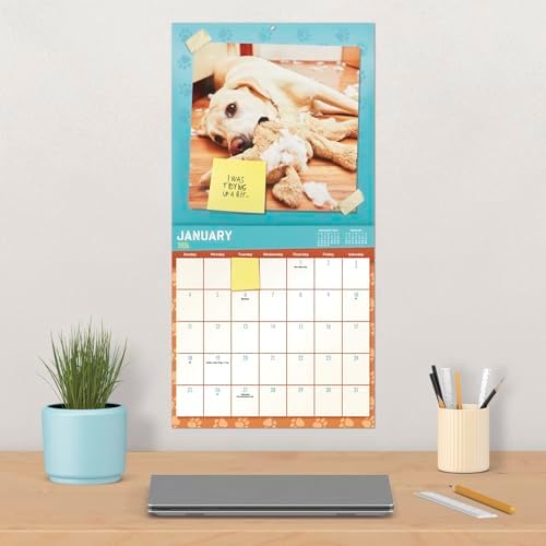 2026 Guilty Dog Wall Calendar - Image 6