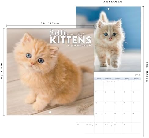 2025 Cuddly Kittens Mini Wall Calendar - Image 8