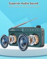 Semier speaker with headphone jack for private audio