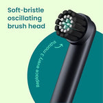 Quip imported rechargeable toothbrush packed securely inside its compact blue stone travel case