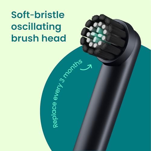 Quip imported rechargeable toothbrush packed securely inside its compact blue stone travel case
