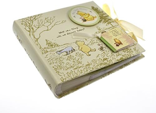 Inside cover illustration showing the colorful Hundred Acre Wood map on the Disney album.