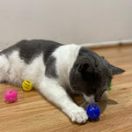 A ginger tabby kitten playfully reaching towards the blue plastic jingle bell ball toy.