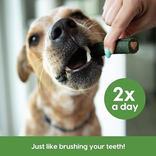 Ark Naturals Breathless Brushless Toothpaste for Large Dog - 18Oz - Image 8