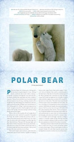 Polar: A Photicular Book - Image 3