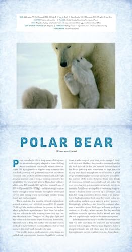Polar: A Photicular Book - Image 3