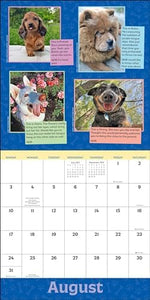 WeRateDogs 2025 Wall Calendar - Image 6