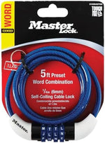 Master Lock 1 - Image 3