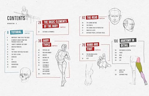 Draw Like a Mangaka: Anatomy: A Comprehensive Anatomical Reference - Master Anatomy, Figure Drawing and Poses - Image 3