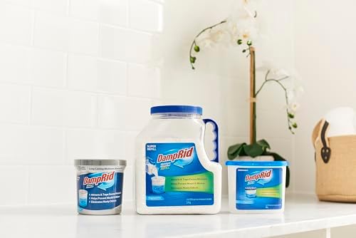 DampRid disposable moisture absorber placed in a closet for odor removal.