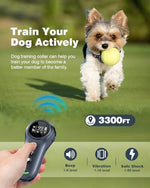 Adjustable black training collar strap fitted on a medium sized dog during an outdoor walk.