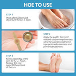 Full twenty four count product contents arranged neatly with protective backing sheets visible